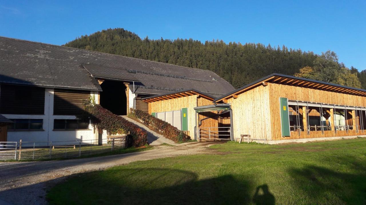 巴德米滕多夫Schusterbauernhof公寓 外观 照片